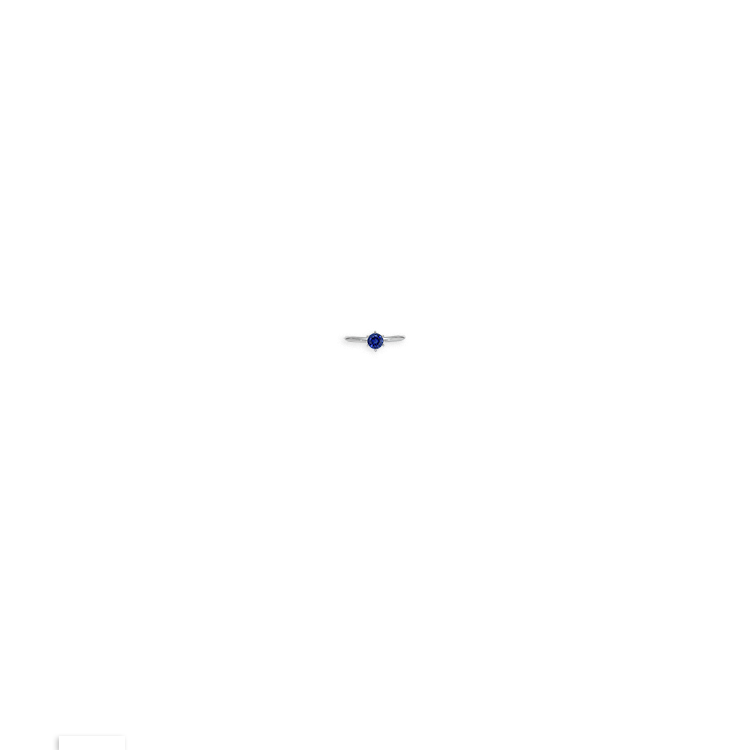 Image of Item Overlayed on Model