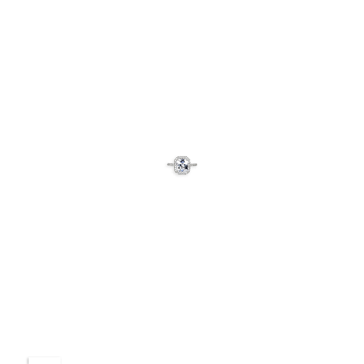 Image of Item Overlayed on Model