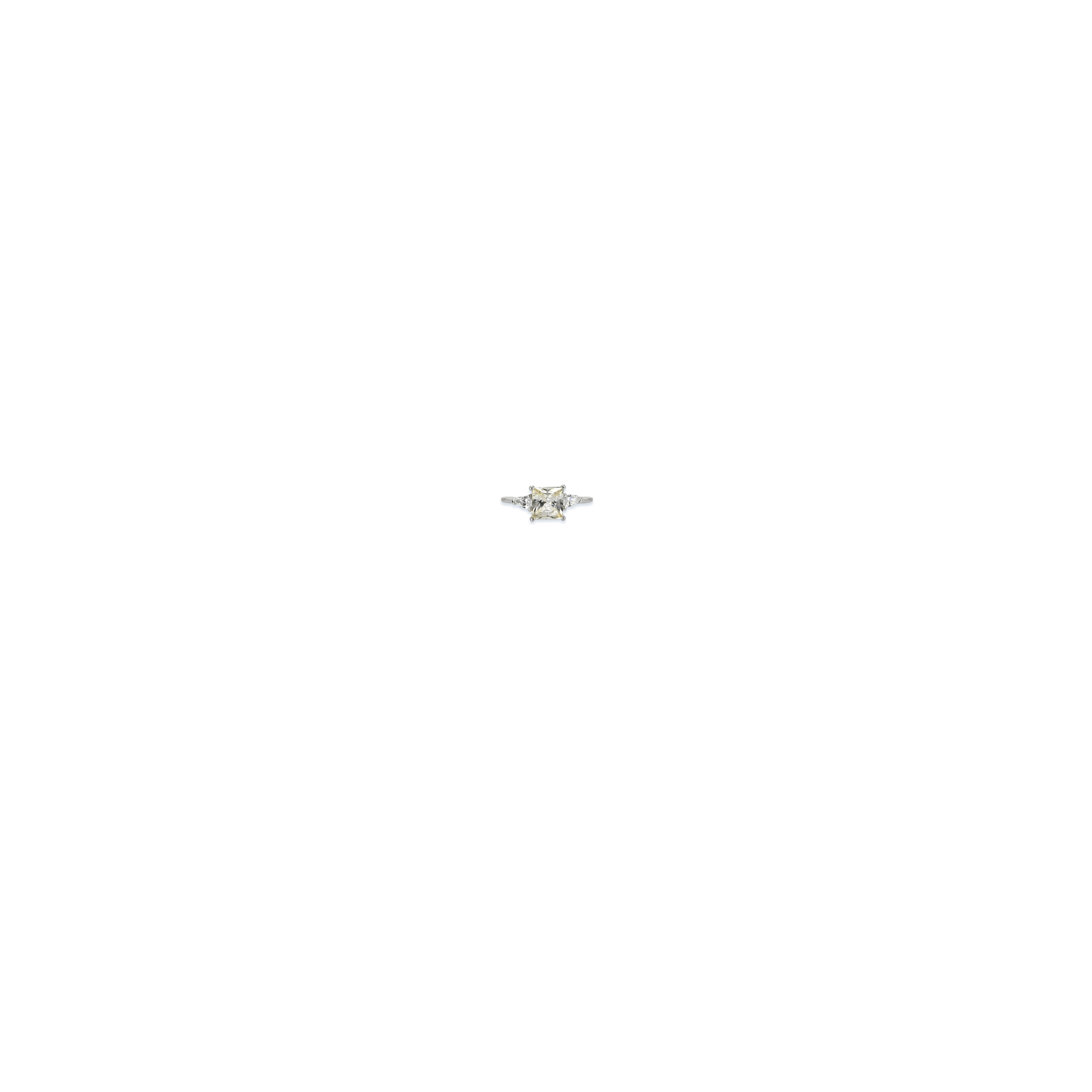 Image of Item Overlayed on Model