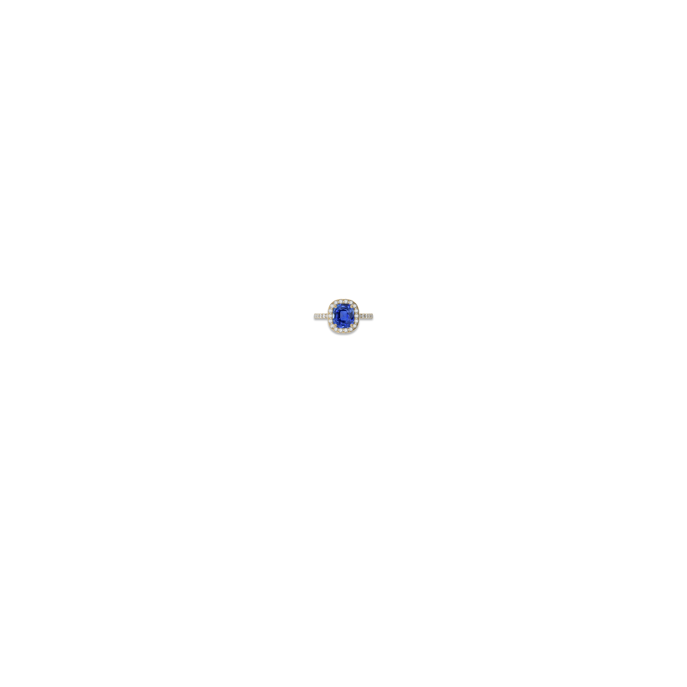 Image of Item Overlayed on Model