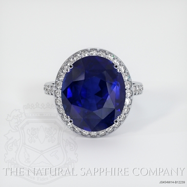 Image of Blue Sapphire Ring - Oval 8.44 Ct. - 14K White Gold - #JS454W14,B12239