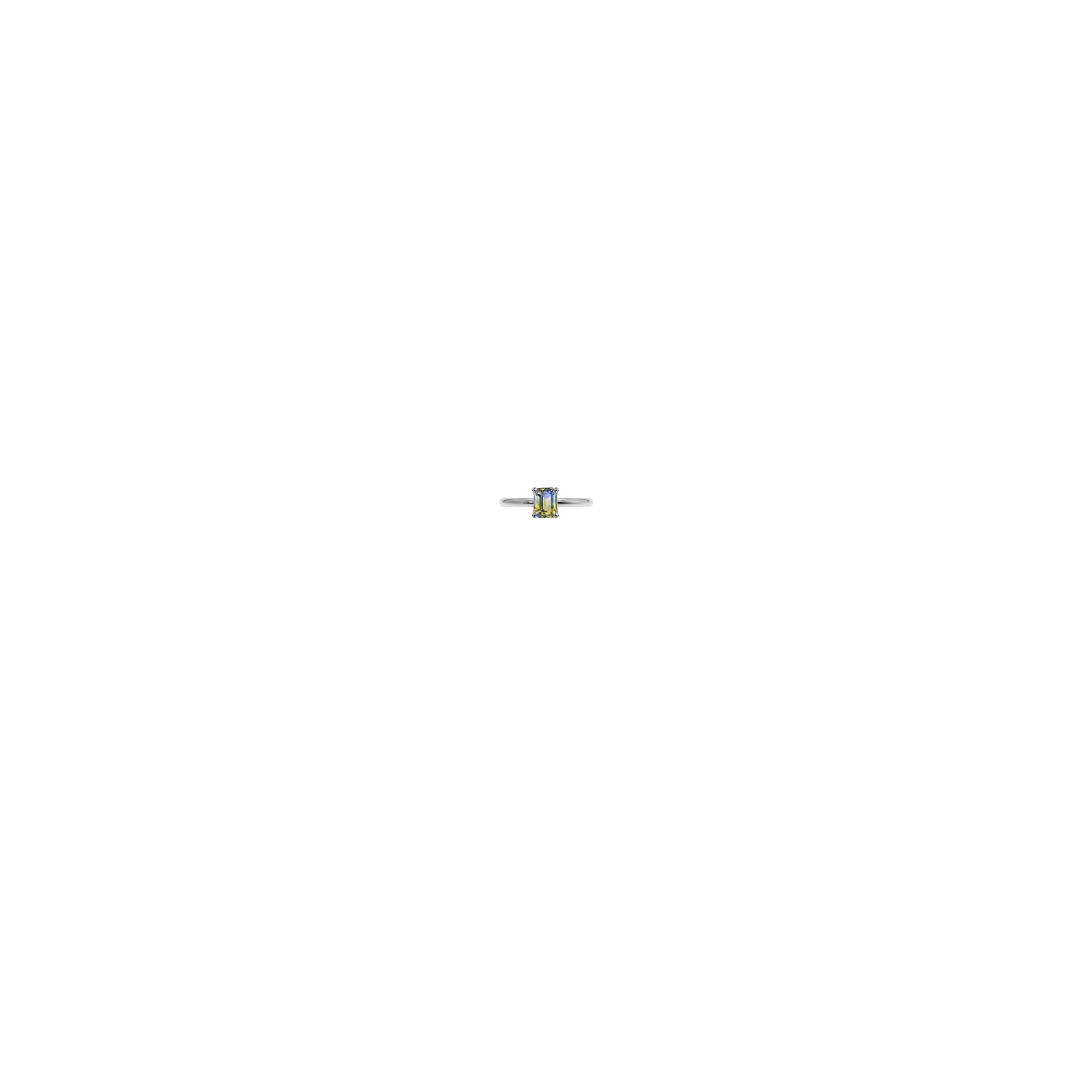 Image of Item Overlayed on Model