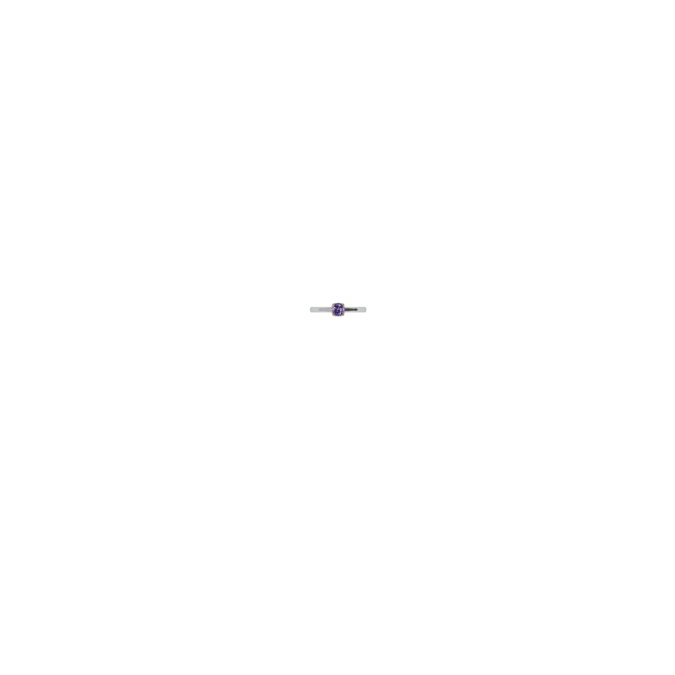 Image of Item Overlayed on Model